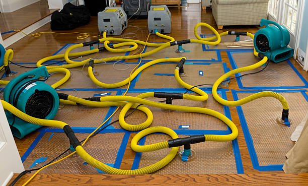Professional Water Damage Restoration technician working in Maryville, IL